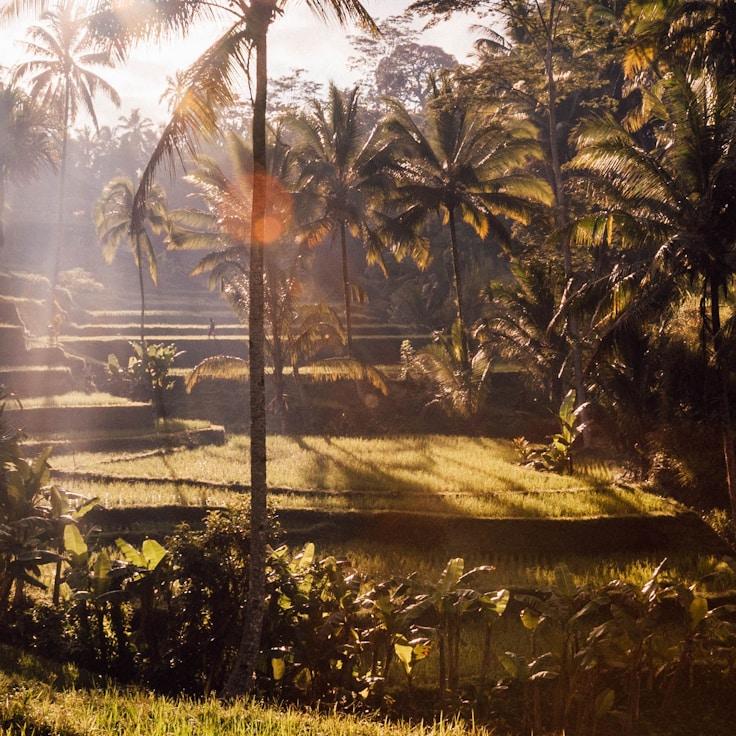 Entertainment zone at night in Spain